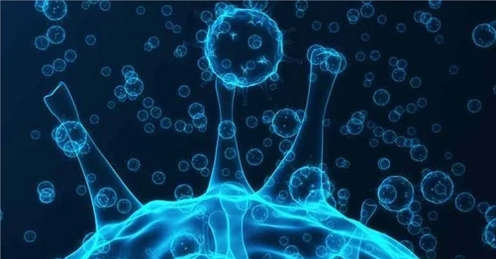Coronavirus Disease Symptoms