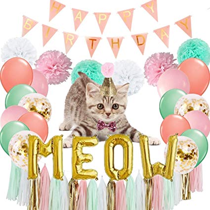 cat-party