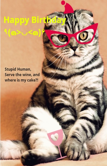 Say Happy Birthday Cat With A Customized Card