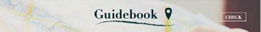 Guidebook Leaderboard Design