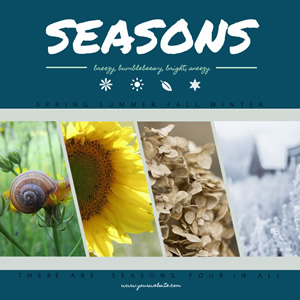 Four Seasons Instagram Post Design