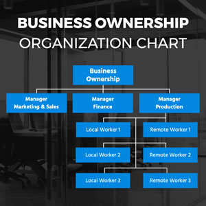 Business Ownership Organization Chart Design