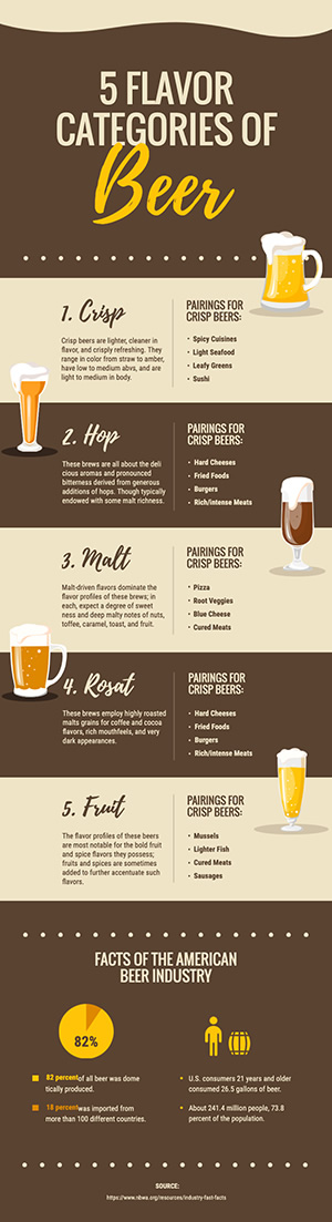 Beer Category Infographic Design