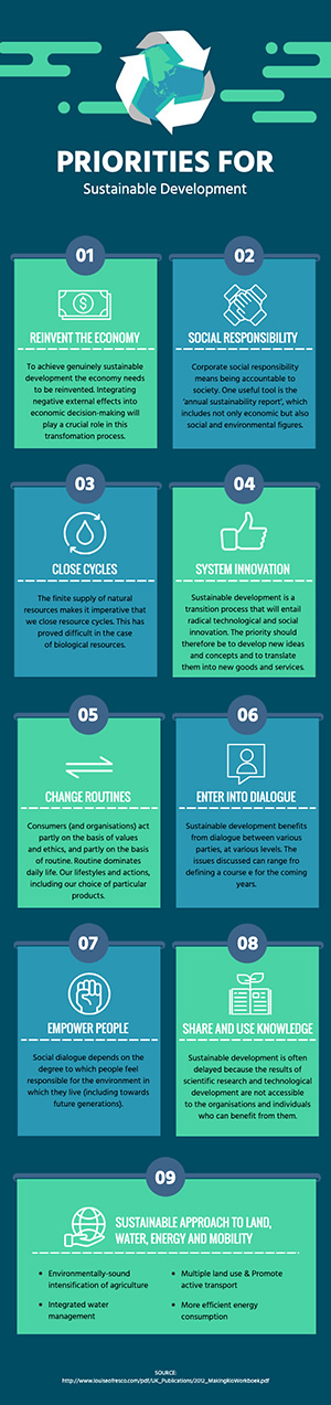 Sustainable Development Infographic Design