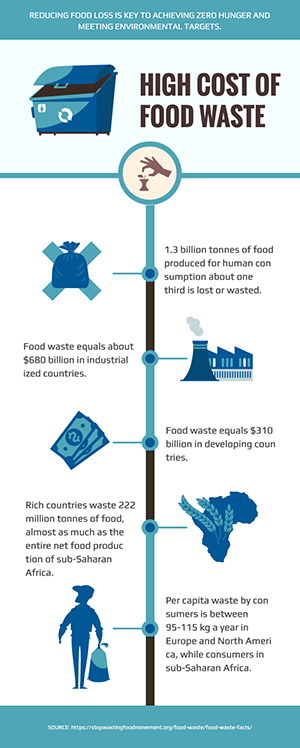 Food Waste Infographic Design
