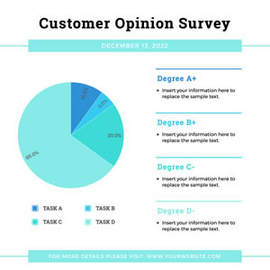 Customer Survey Pie Chart Design