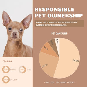 Pet Ownership Pie Chart Design