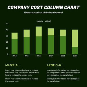 Company Cost Column Chart Design