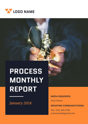 Monthly Progress Report Design