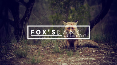 Fox Dance YouTube Channel Art Design