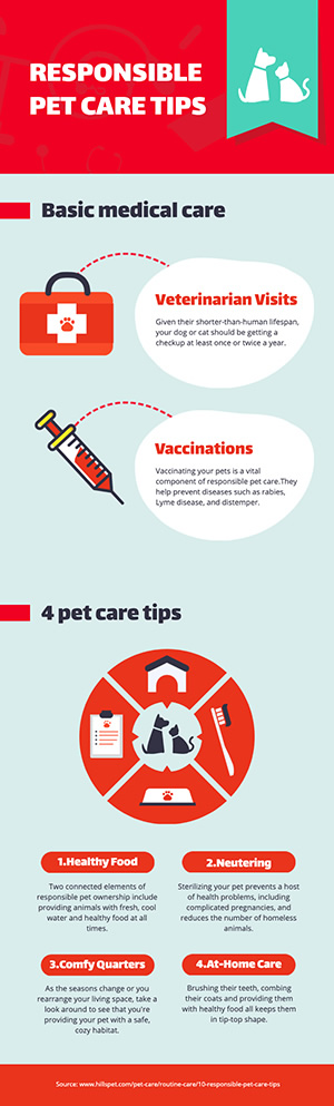 Pet Care Infographic Design