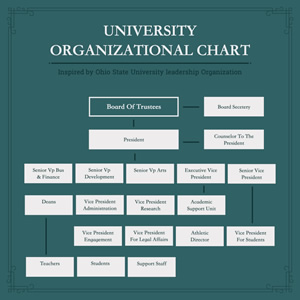 University Organizational Chart Design