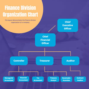 Finance Division Organization Chart Chart Design