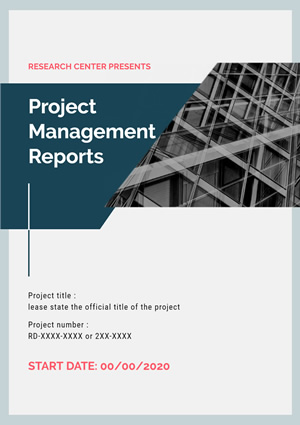 Project Management Report Design