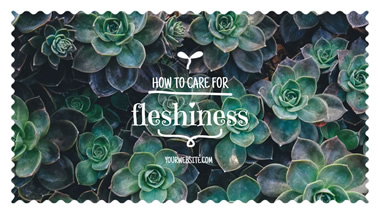 Care for Fleshiness YouTube Thumbnail Design