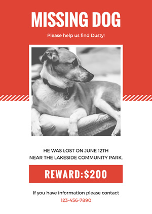 White and Orange Dog Missing Poster  Design