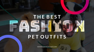 Pet Outfits YouTube Thumbnail Design