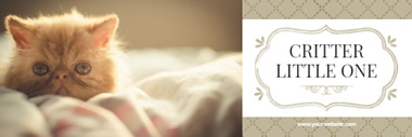 Softy Kitten Loves Bed Email Header Design