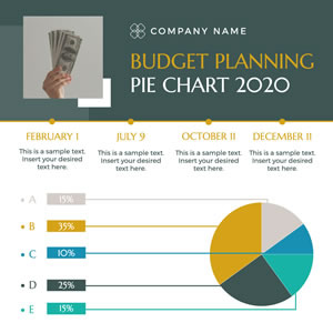 Company Budget Planning Pie Chart Chart Design
