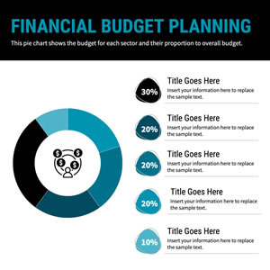 Budget Planning Pie Chart Design