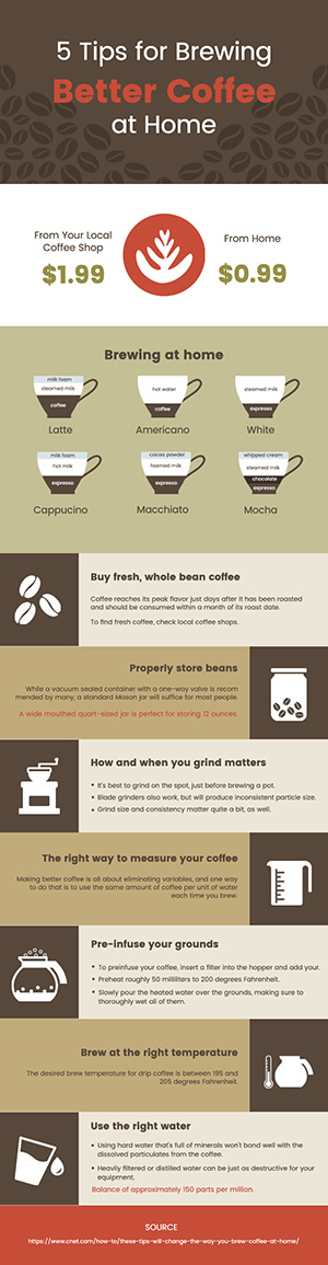 Coffee Brewing Infographic Design