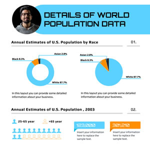 Population Data Pie Chart Design