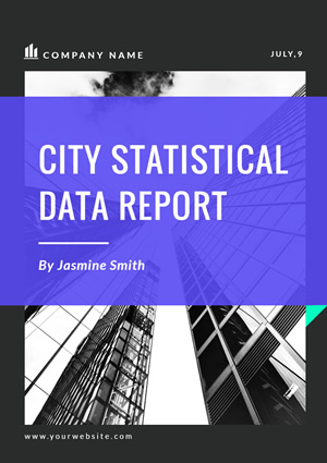 City Statistics Analysis Report Design