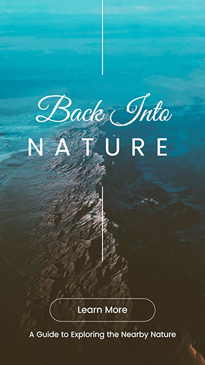 Back Into Nature Instagram Story Instagram Story Design
