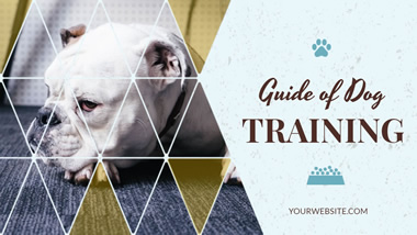Dog Training YouTube Thumbnail Design