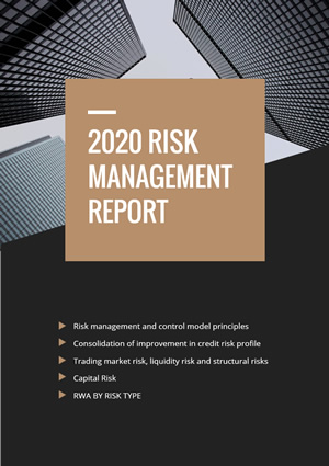 Risk Management Report Design