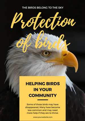 Feral Eagle Bird Protection Poster Design