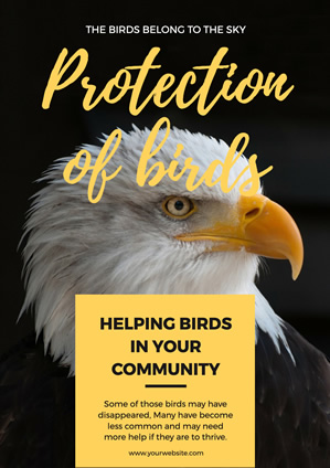 Feral Eagle Bird Protection Poster  Design