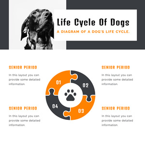 Life Cycle Of A Animal Diagram Chart Design