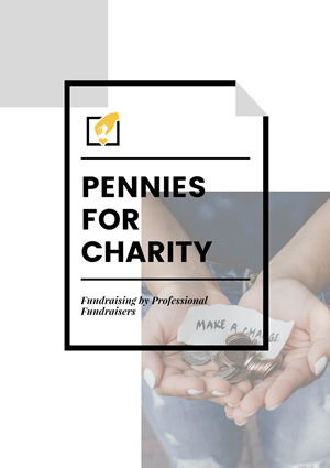 Charity Report Design
