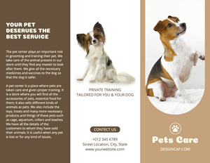 Puppy Care and Supply Brochure Design