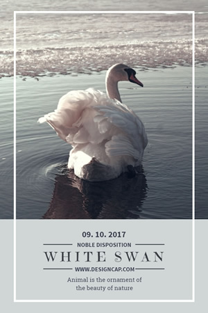 White Swan Pinterest Graphic Design