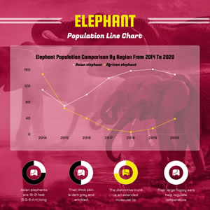 Elephant Population Line Chart Design