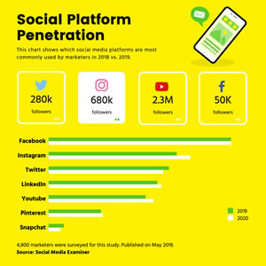 Social Platform Penetration Bar Chart Design