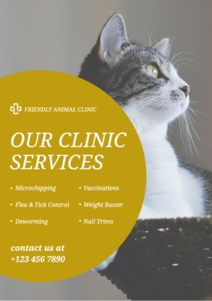 Cat Photo Animal Clinic Poster  Design