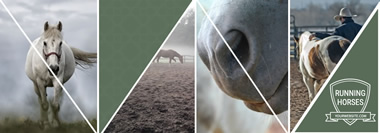 Ride Horse Tumblr Banner Design