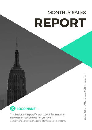 Monthly Sales Report Design