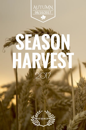 Season Harvest Pinterest Graphic Design