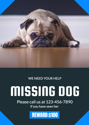 Rewarded Missing Dog Poster  Design