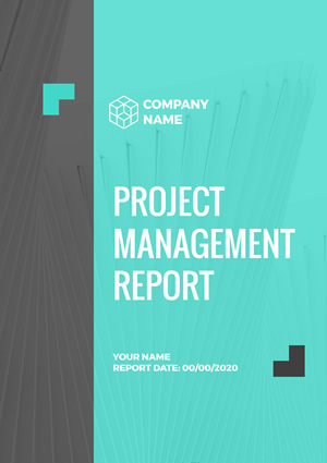 Company Project Report Design