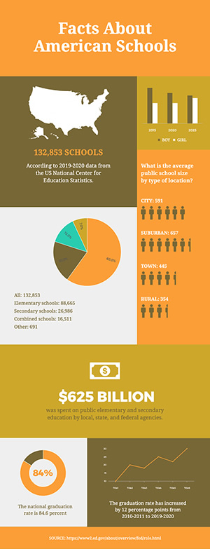 School Statistics Infographic Design