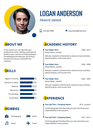 Driver Resume Resume Design