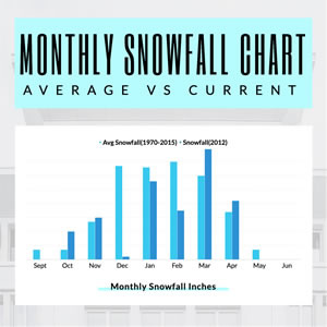 Monthly Snowfall Column Chart Design
