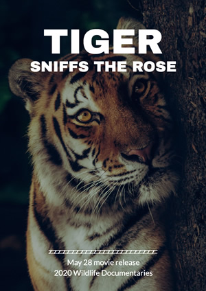 Tiger Photo Wildlife Documentary Poster Poster Design