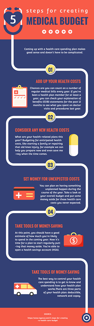 Medical Budget Infographic Design