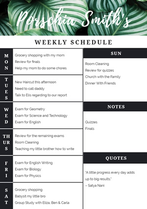 Weekly Schedule Report Design